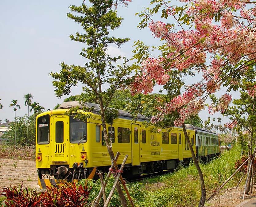 花旗木自行車道 圖片